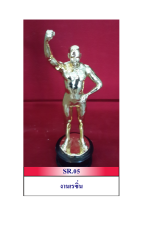 SR05