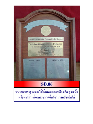SB06