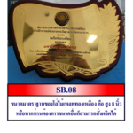 SB08