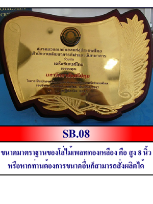 SB08
