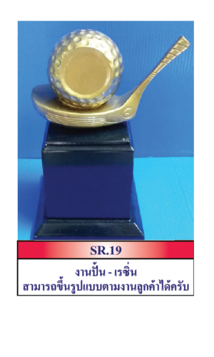 SR19