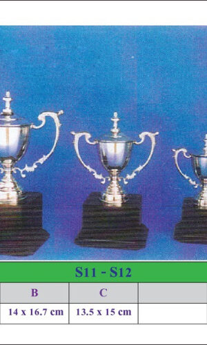 S11 - S12 -1