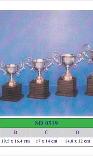 SD 0519