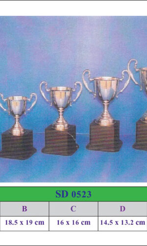 SD 0523