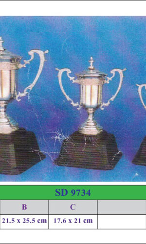 SD 9734