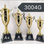 3004G